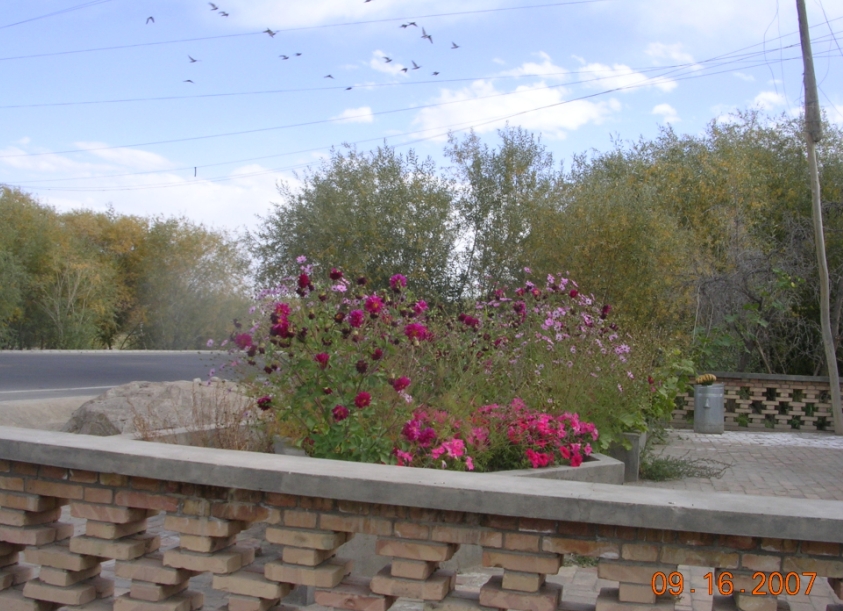 BlogTP07-10-07Av.JPG