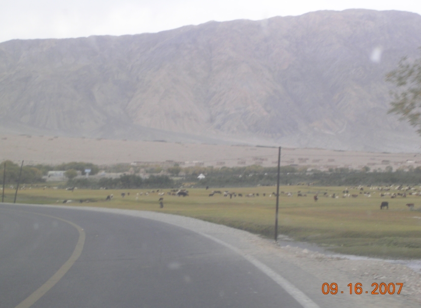 BlogTP07-10-06Cn.JPG