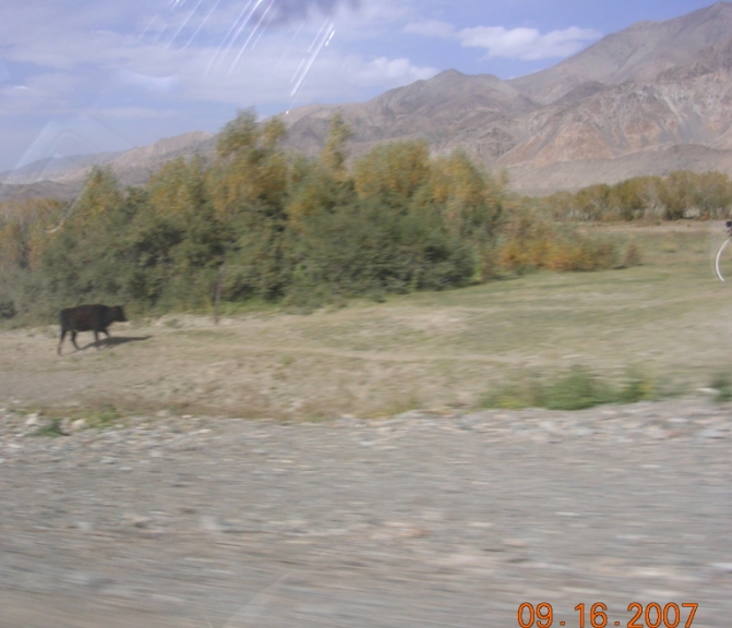 BlogTP07-10-06Cl.JPG