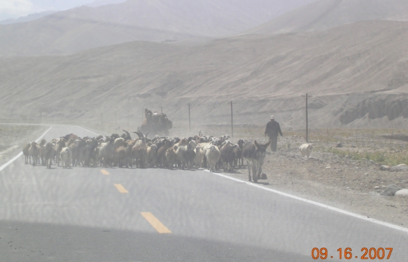 BlogSS07-10-05Ab.jpg