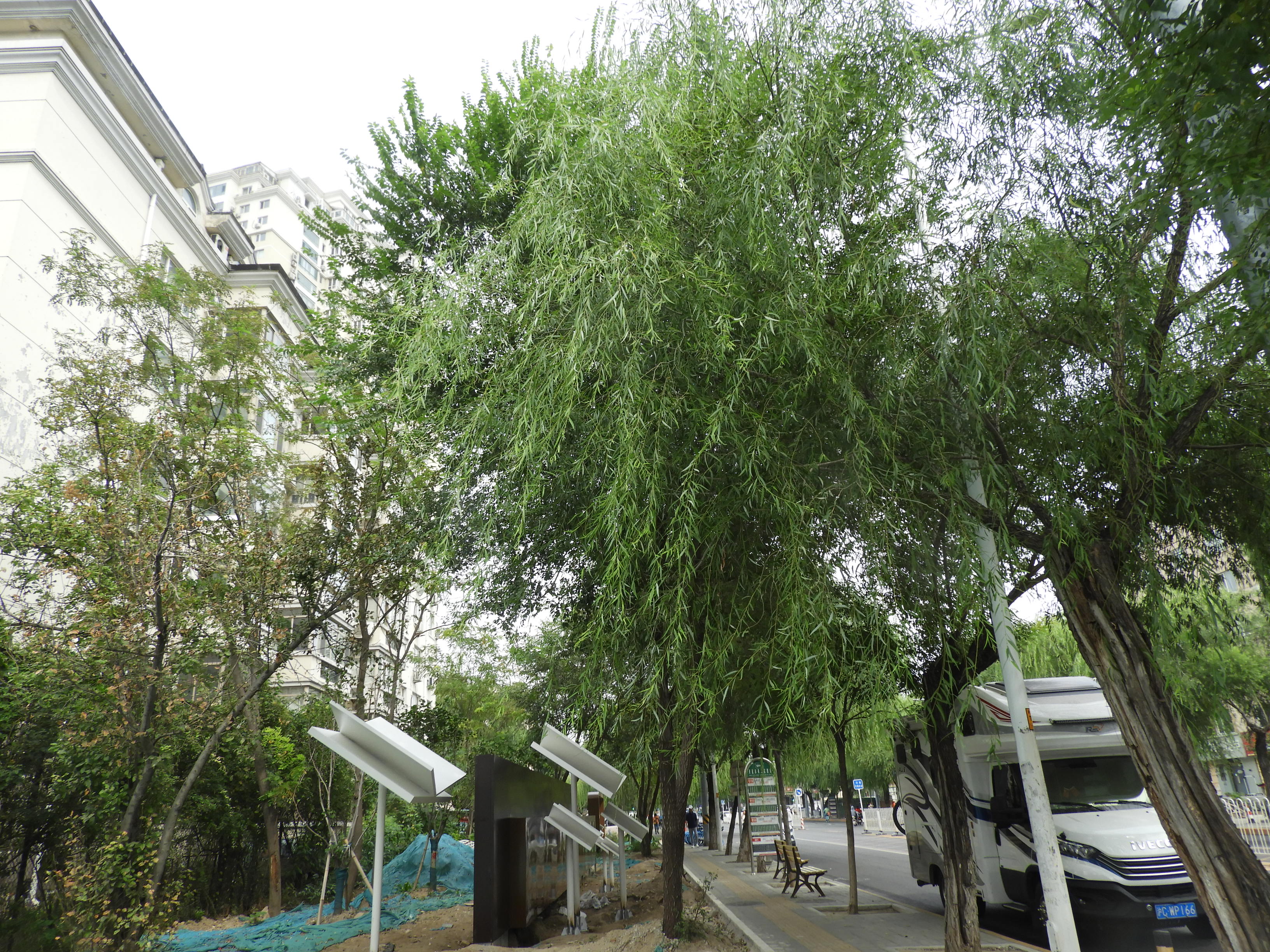 DSCN1401.JPG