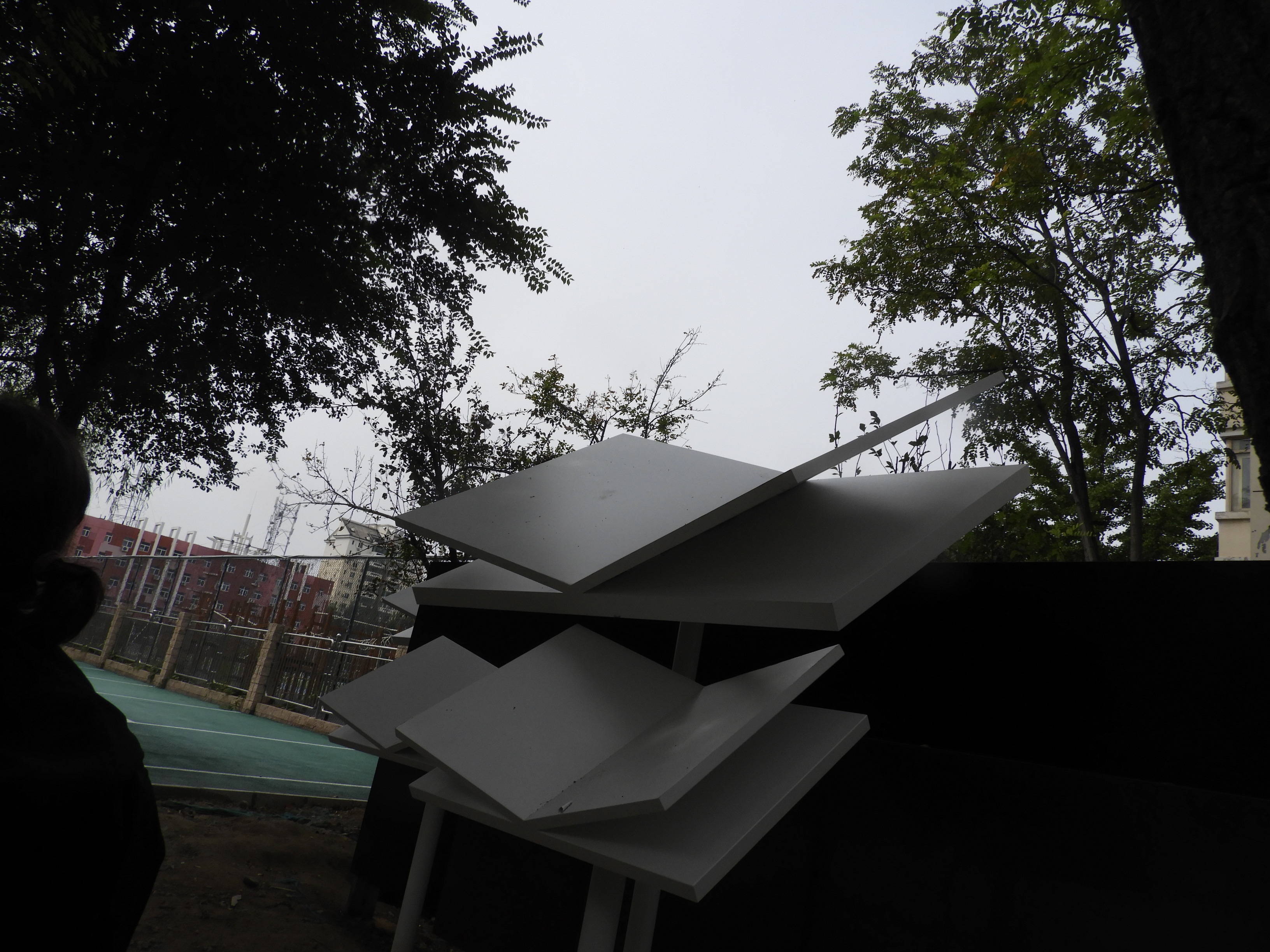 DSCN1378.JPG