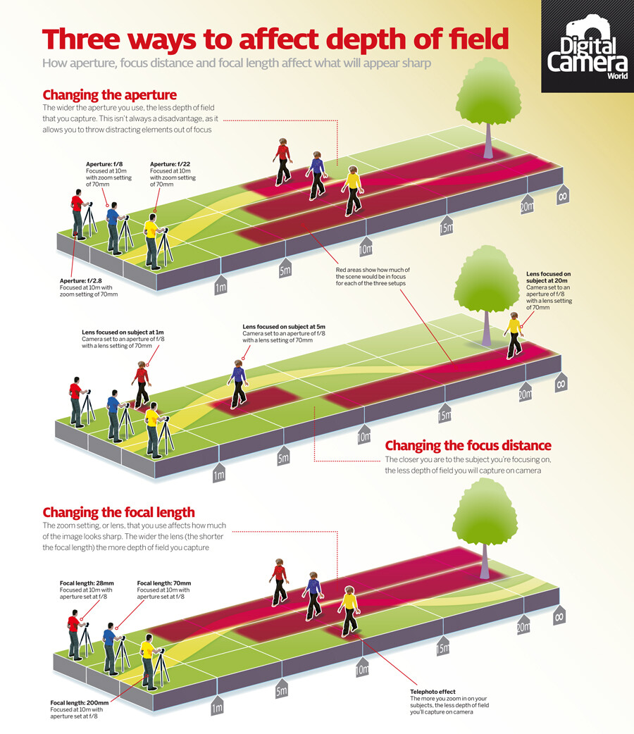 3 Ways to Affect Depth of Field - Digital Photography School.jpg