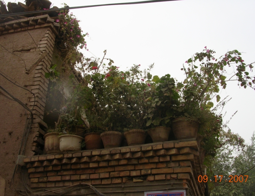 BlogSH07-10-08Bu.jpg