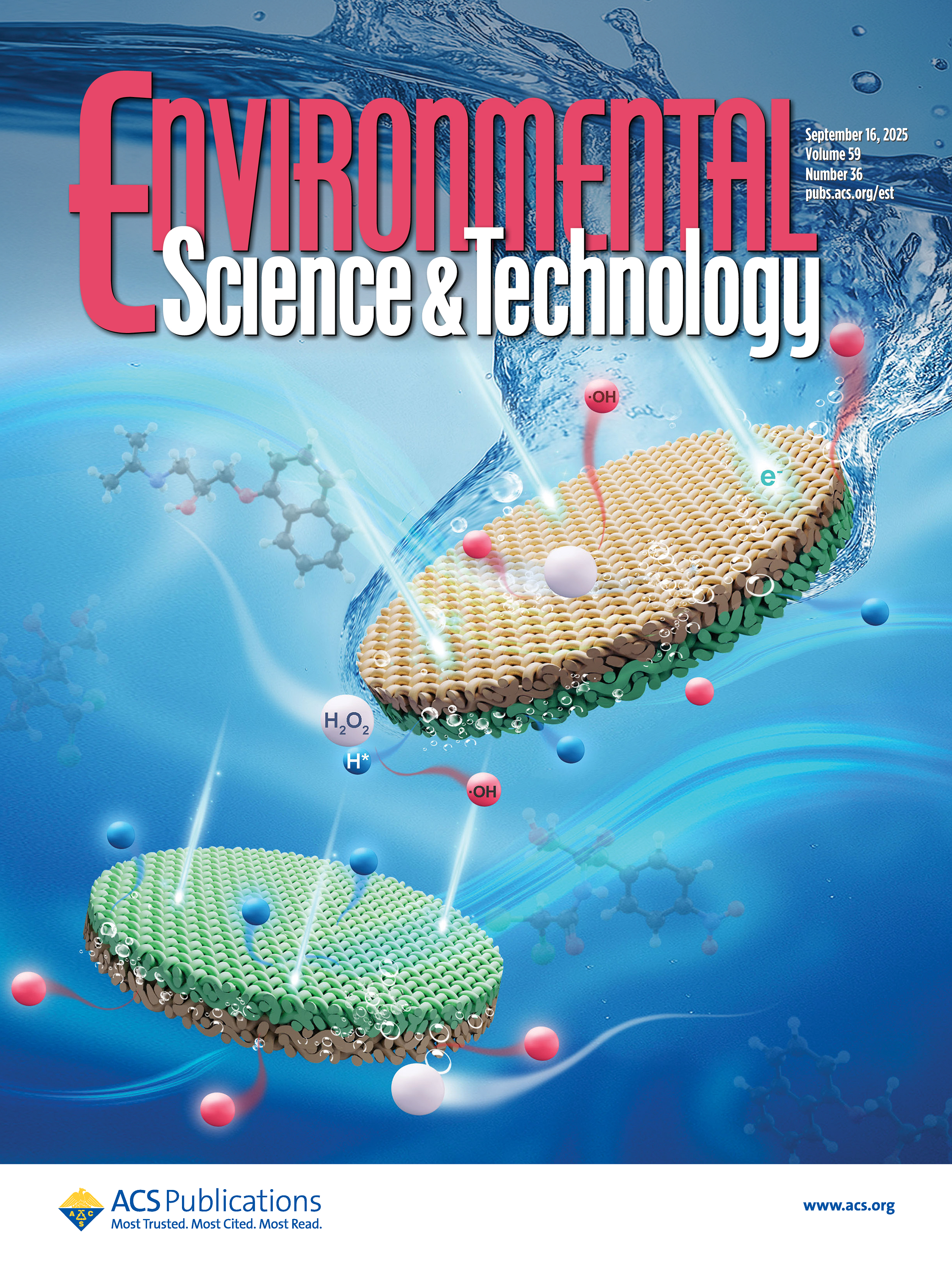 esthag.2025.59.issue-36.xlargecover-3.jpg