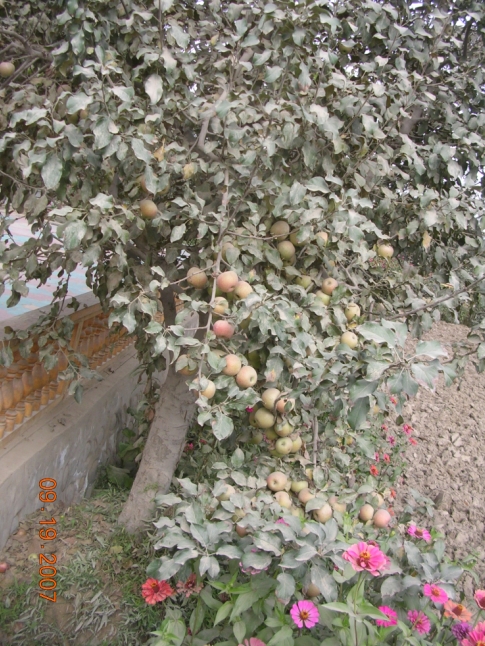 BlogTP07-10-13Am.JPG