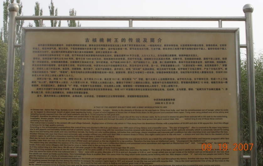 BlogTP07-10-13Ai.JPG