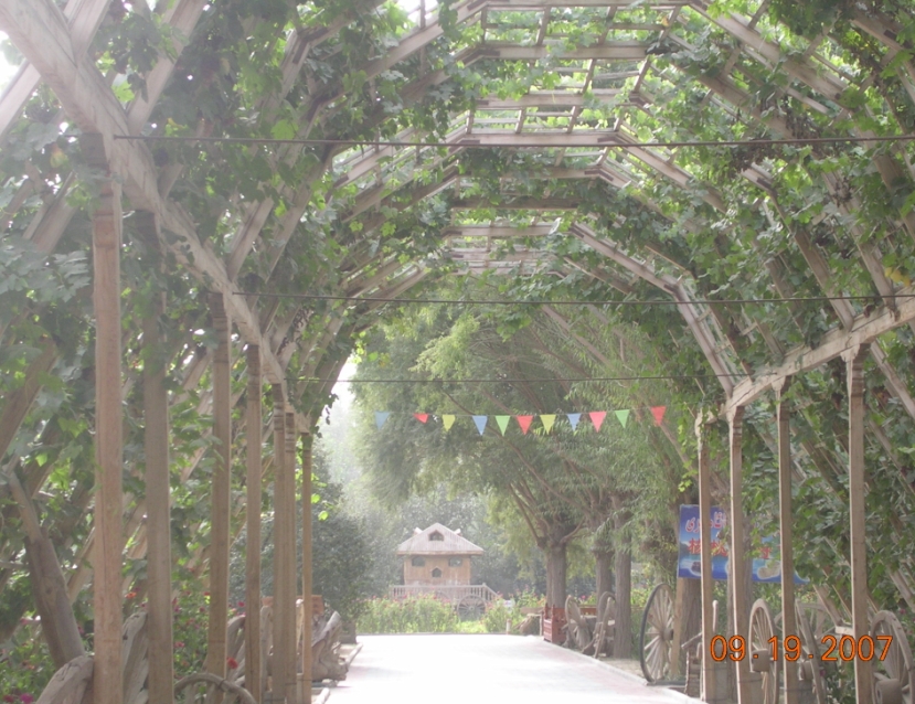 BlogTP07-10-13Ac.JPG