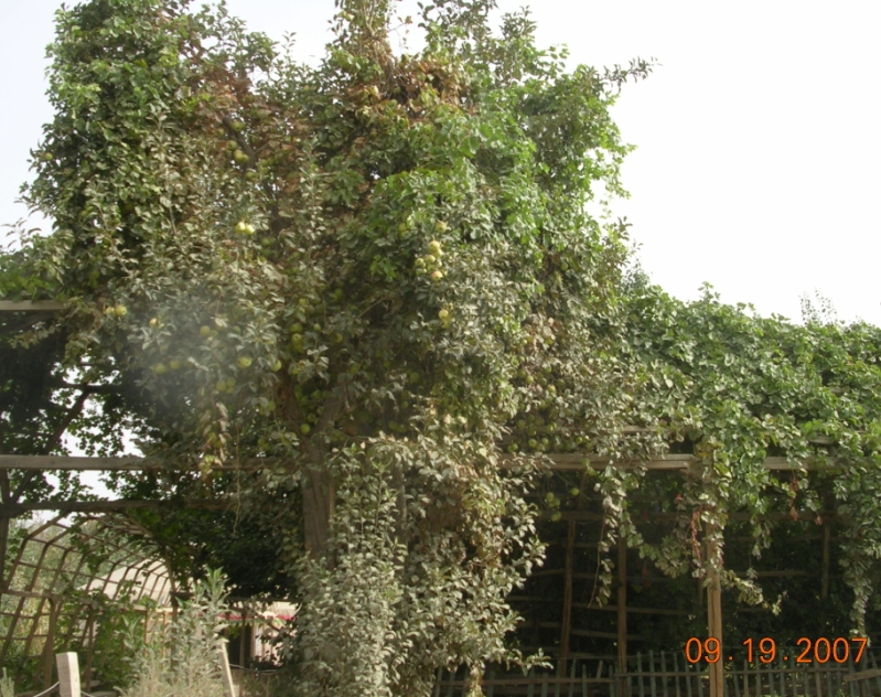 BlogTP07-10-13Bn.JPG