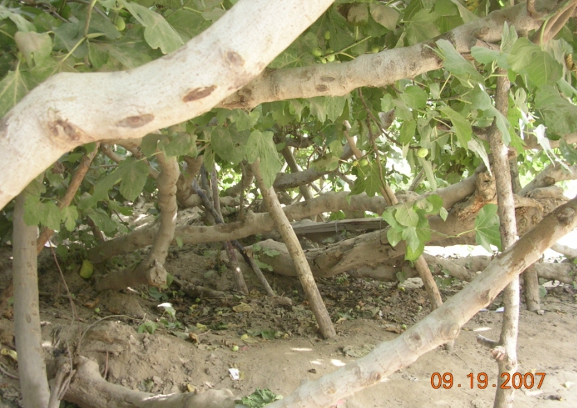 BlogTP07-10-13Bh.JPG