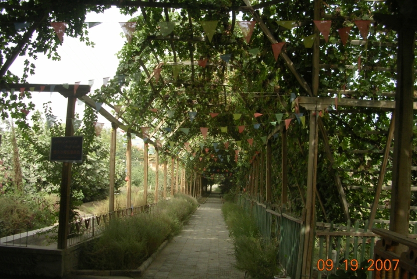 BlogTP07-10-13Bc.JPG