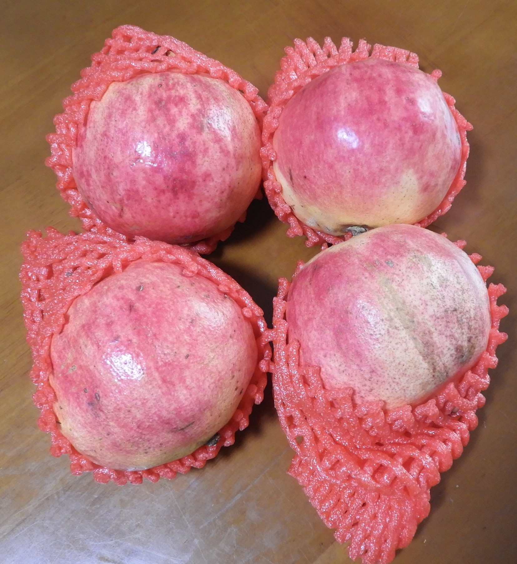 DSCN1540.JPG