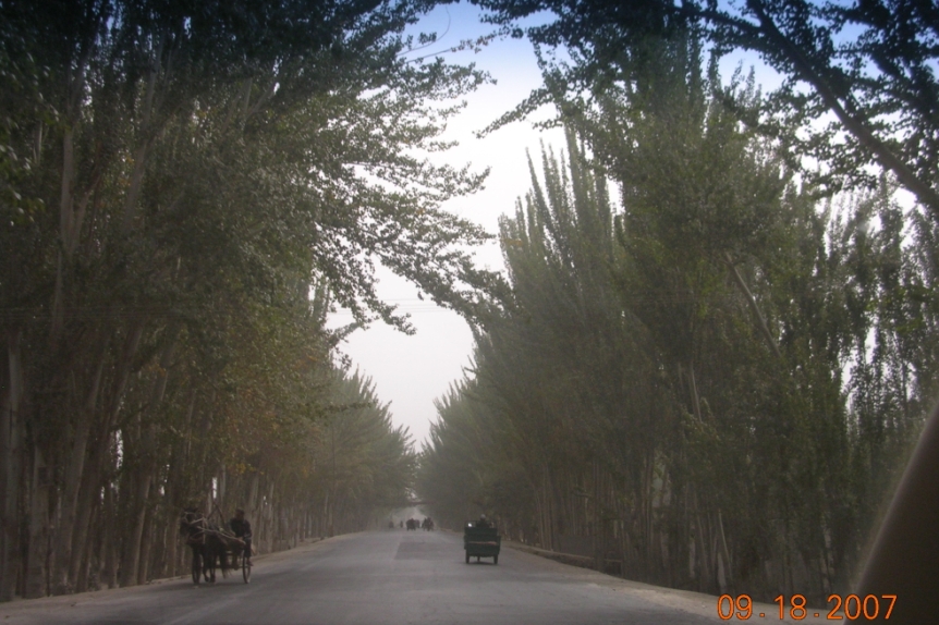 BlogTP07-10-11Am.JPG