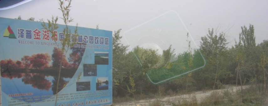 BlogTP07-10-11Bx.JPG