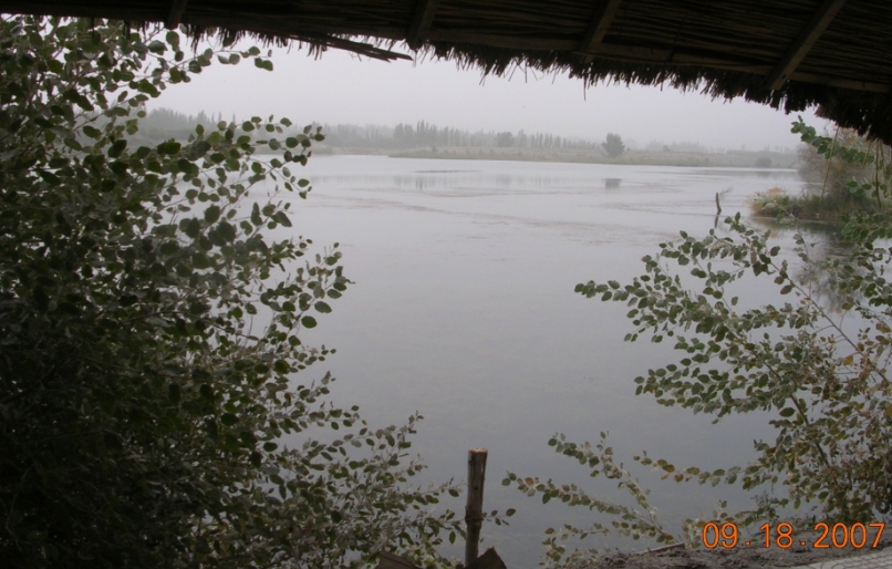 BlogTP07-10-11Bv.JPG