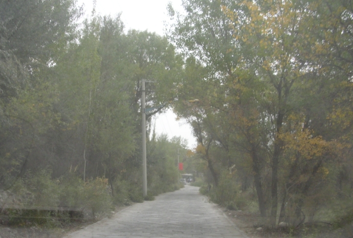 BlogTP07-10-11Bi.JPG