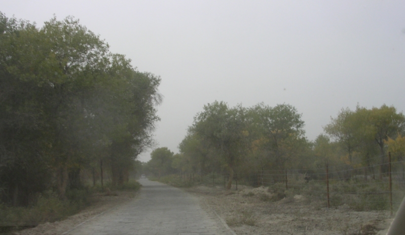 BlogTP07-10-11Bh.JPG