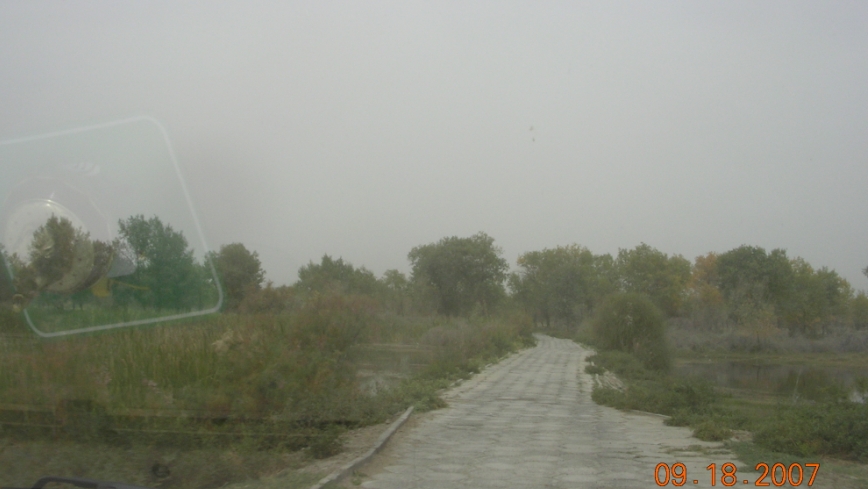BlogTP07-10-11Bg.JPG