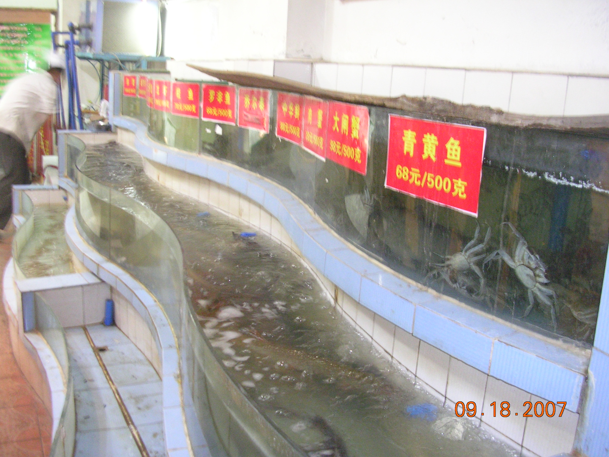 2007-Picture07-09-19B 001.jpg