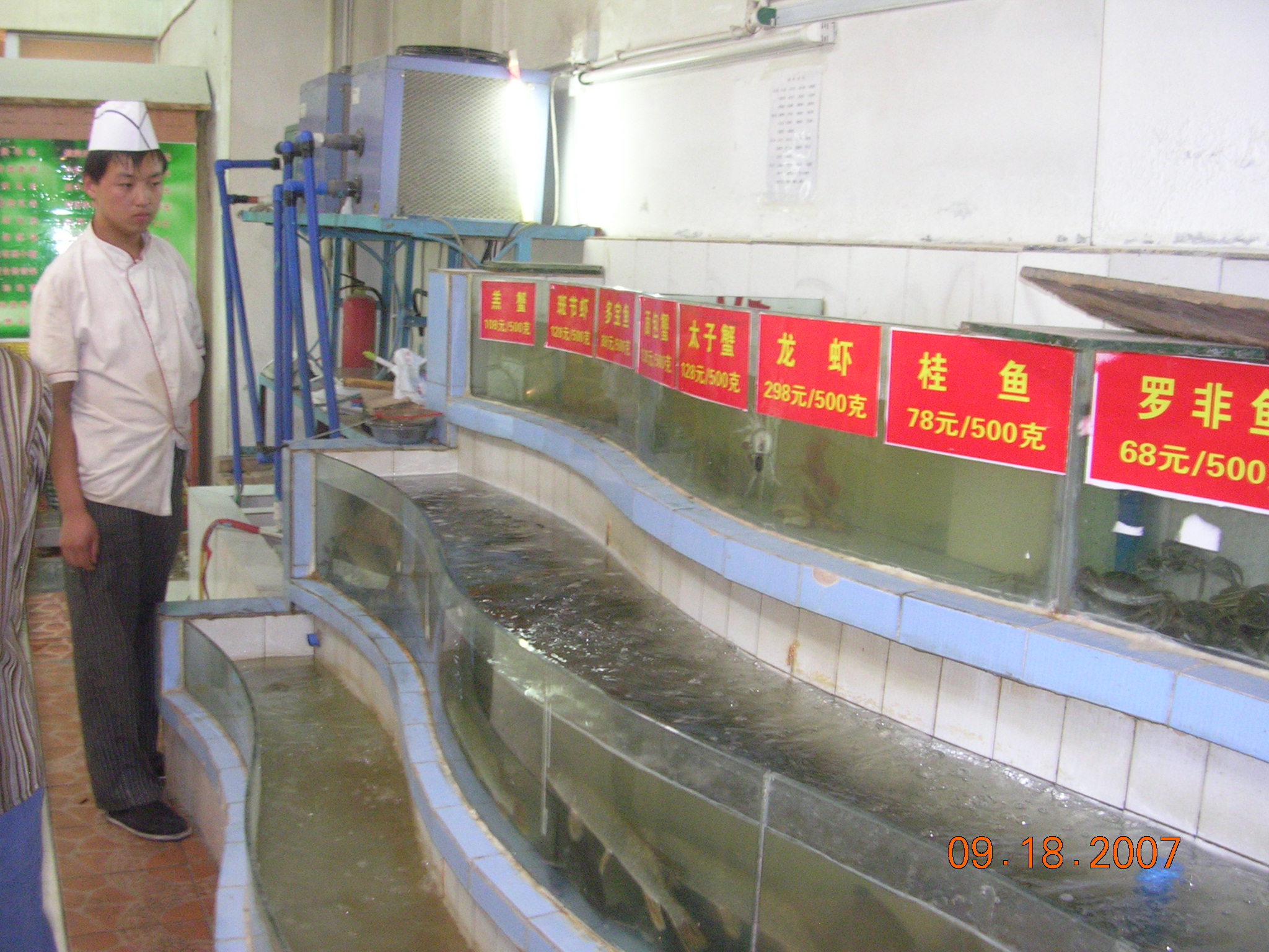 2007-Picture07-09-19B 004.jpg