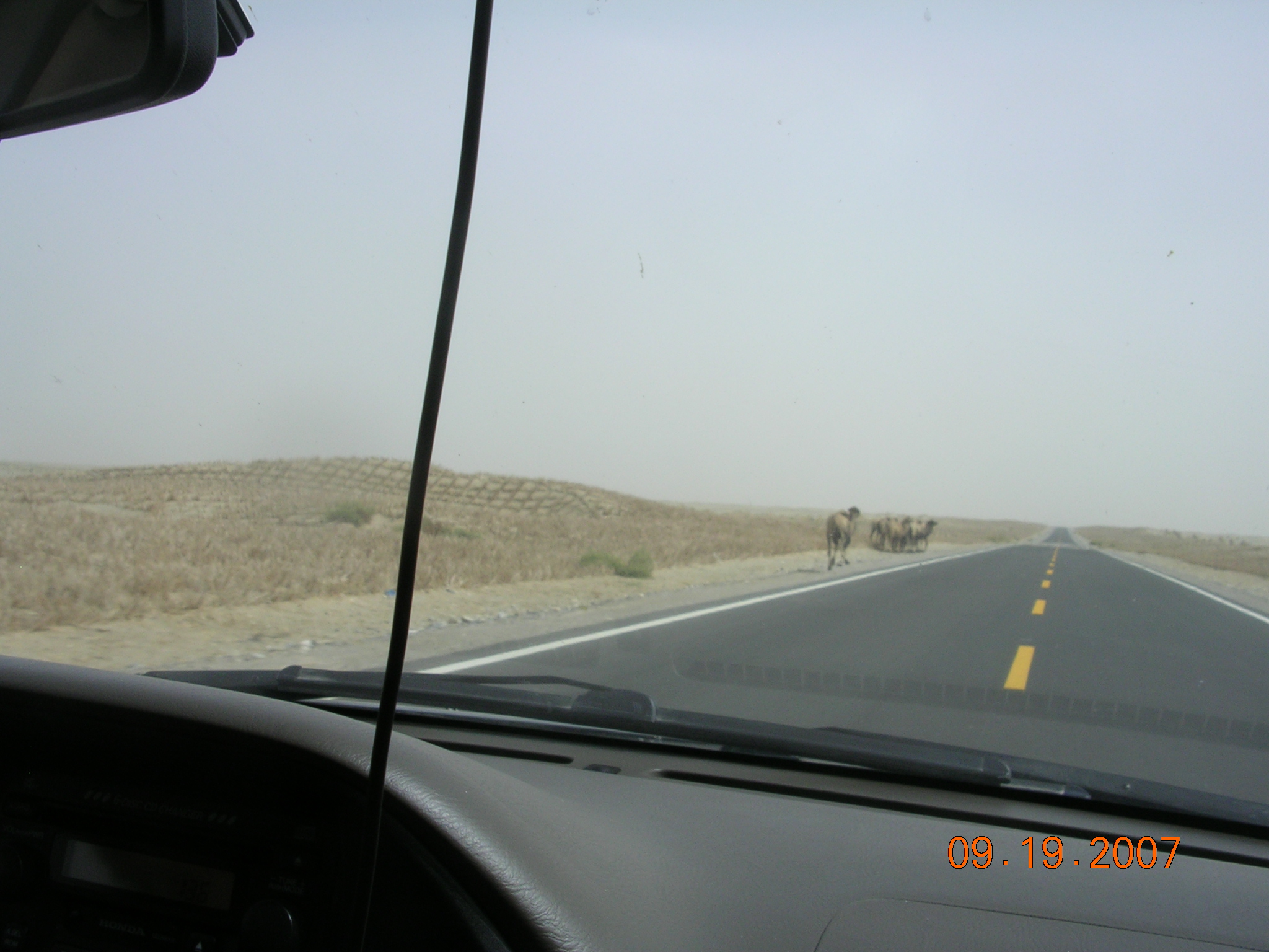 2007-Picture07-09-20A 170.jpg