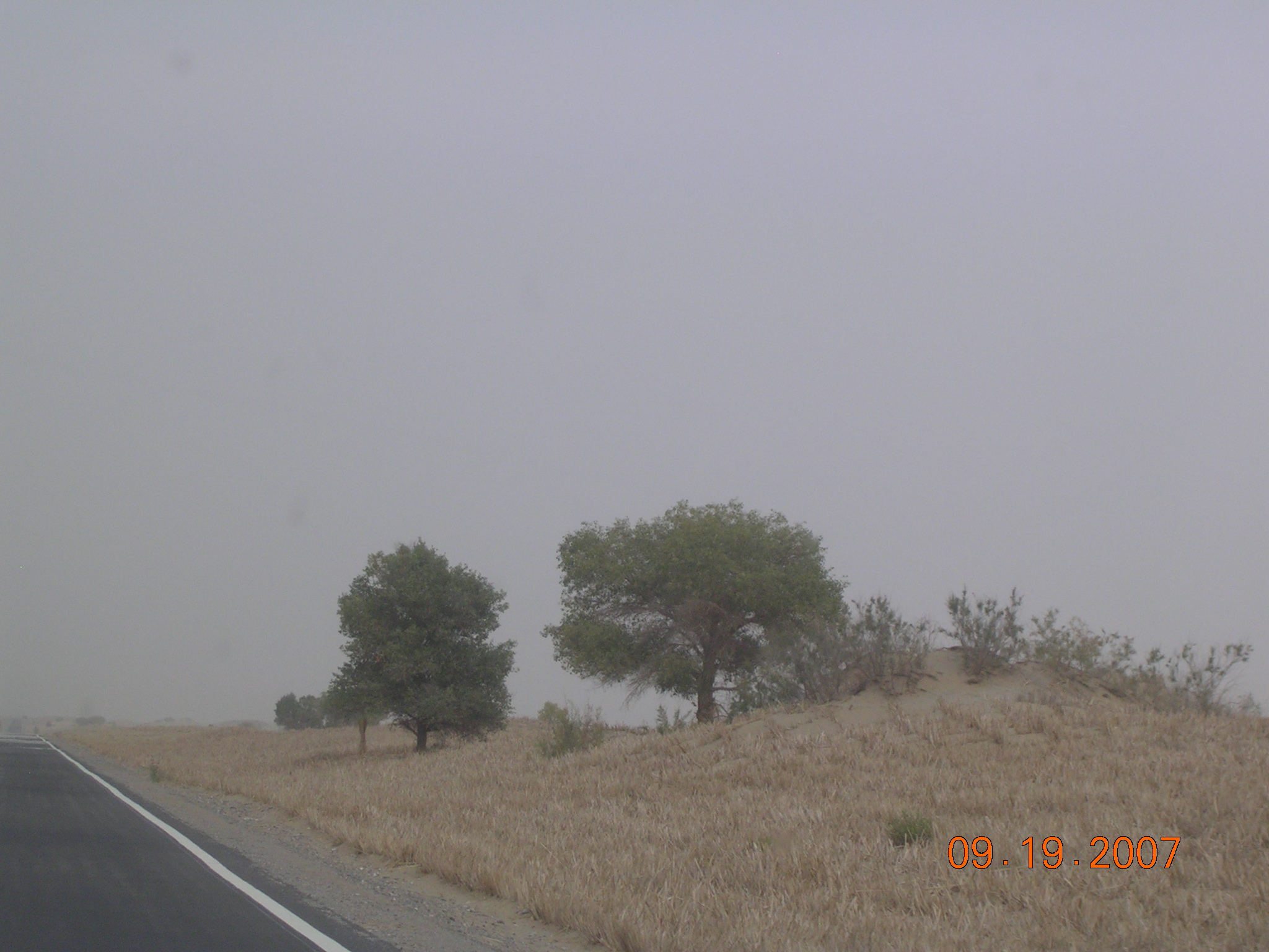 2007-Picture07-09-20A 274.jpg