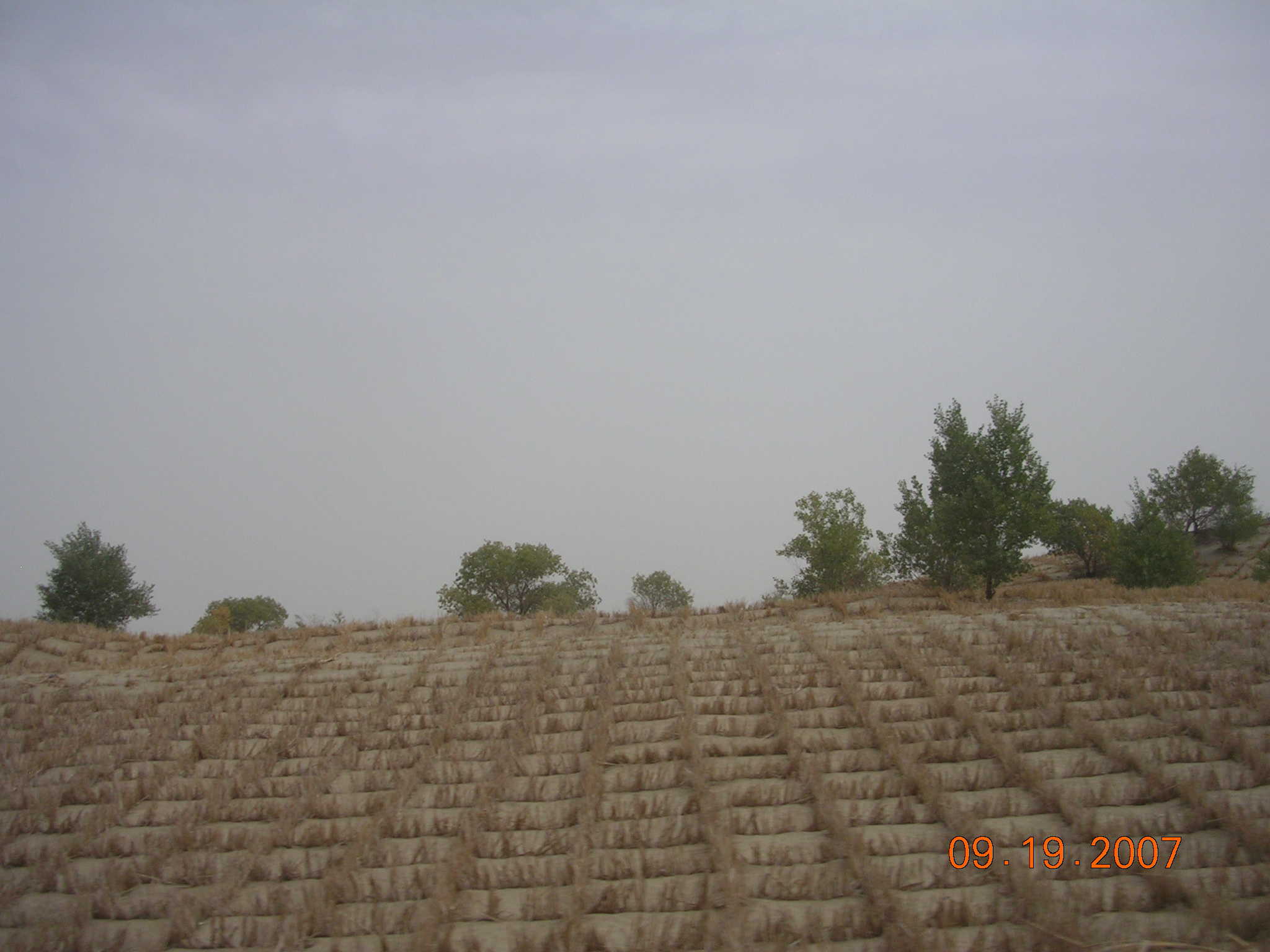 2007-Picture07-09-20A 272.jpg