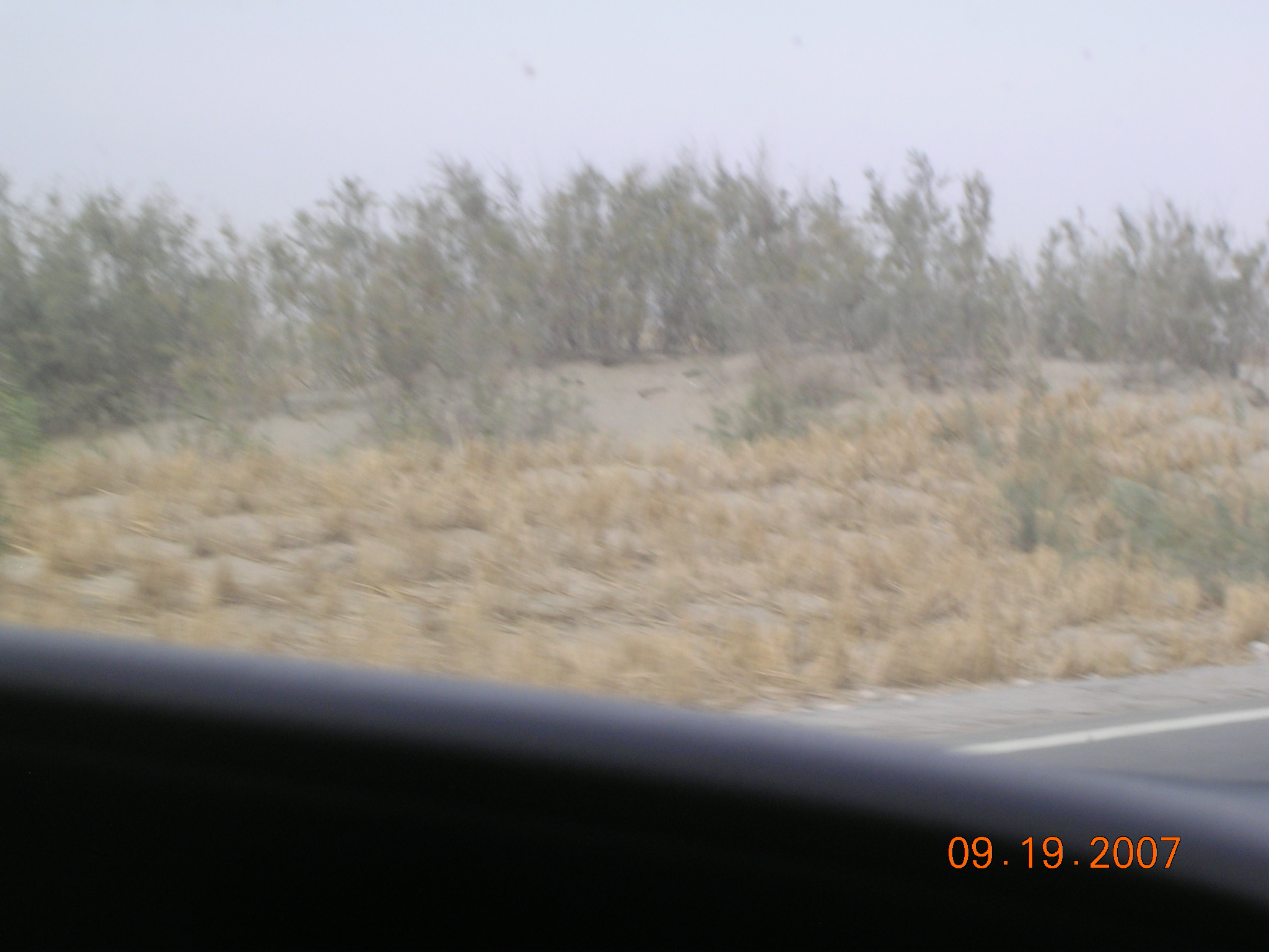 2007-Picture07-09-20A 312.jpg