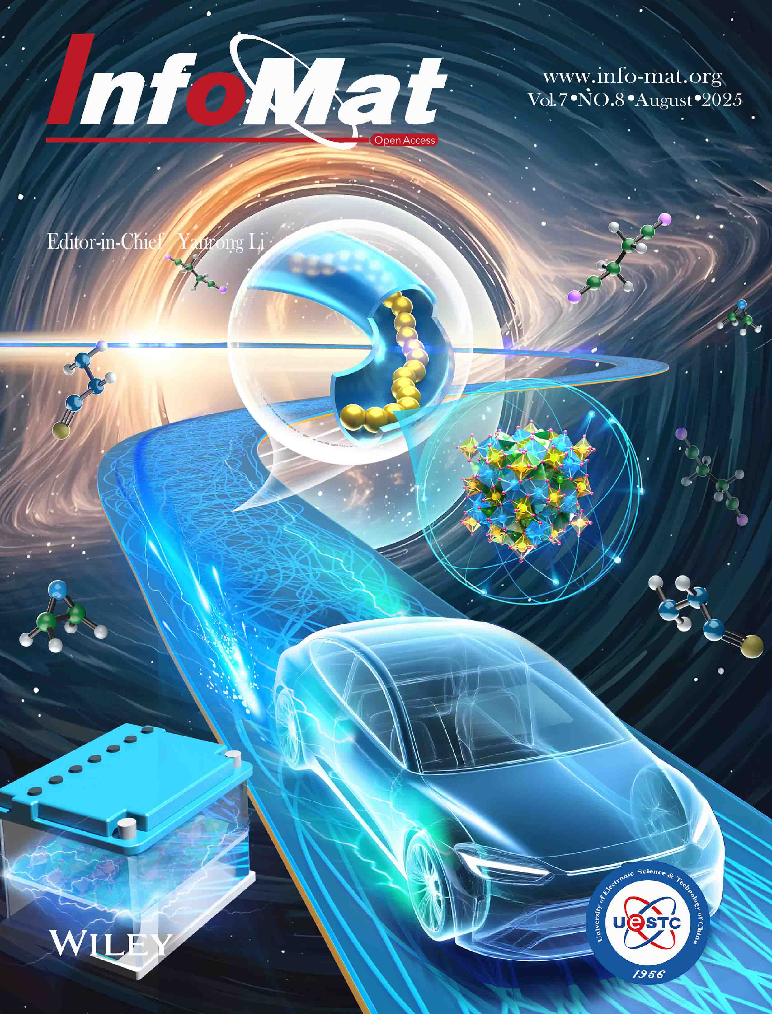 InfoMat - 2025 - Zhao - Cover Image.jpg