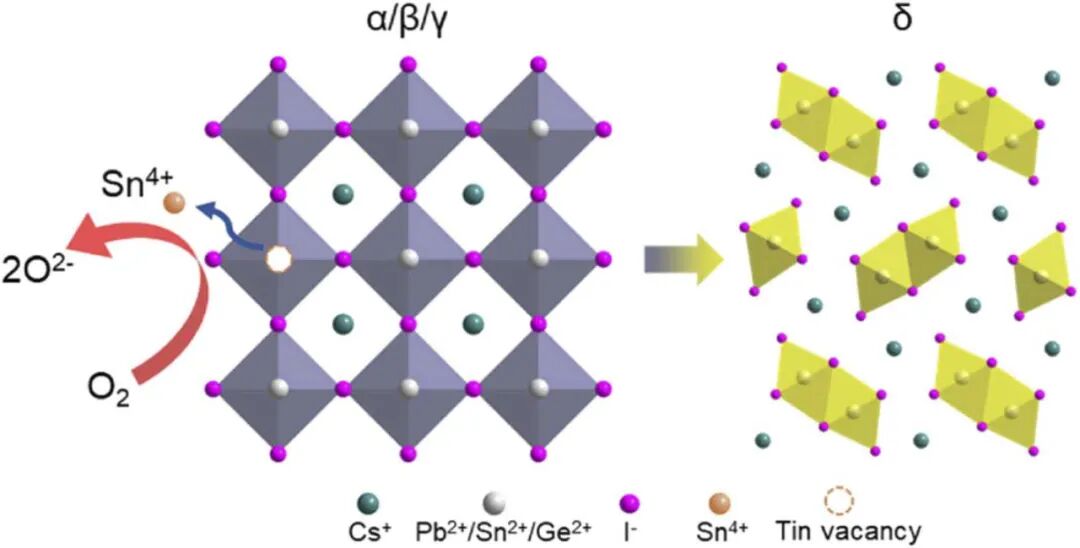 640 - 2025-09-30T171854.621.jpg