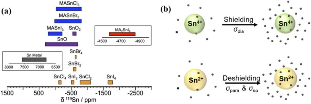 640 - 2025-09-30T171903.042.jpg