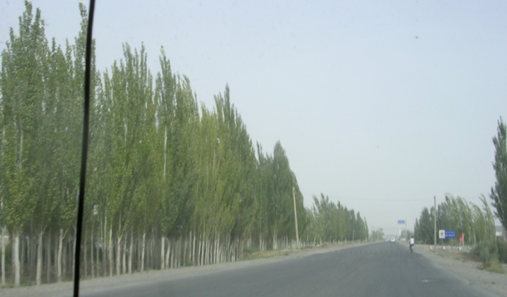 BlogSS07-10-19Bo.jpg