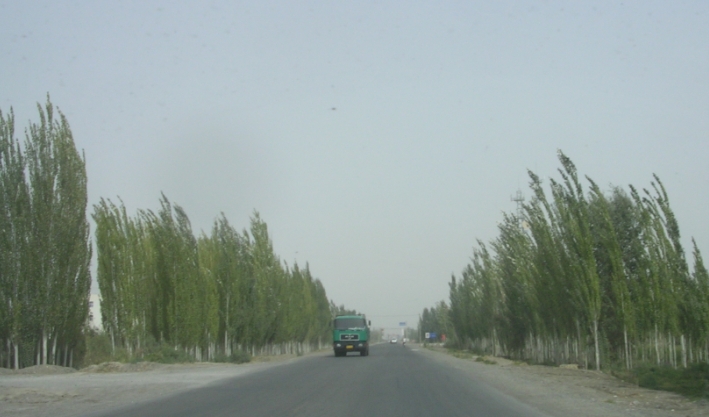BlogSS07-10-19Bn.jpg