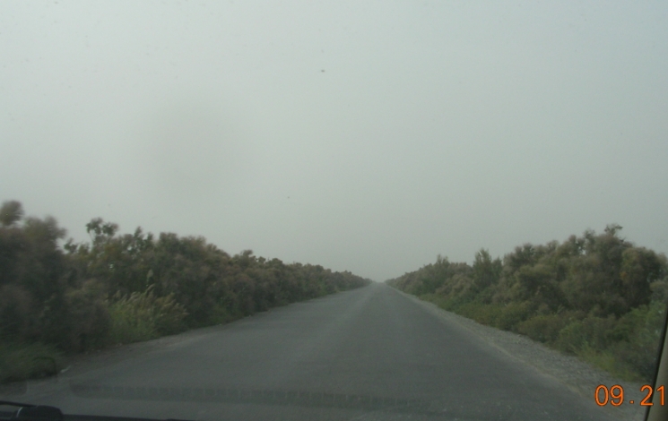 BlogSS07-10-19Be.jpg