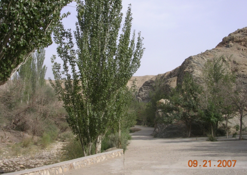 BlogTP07-10-21Bi.jpg