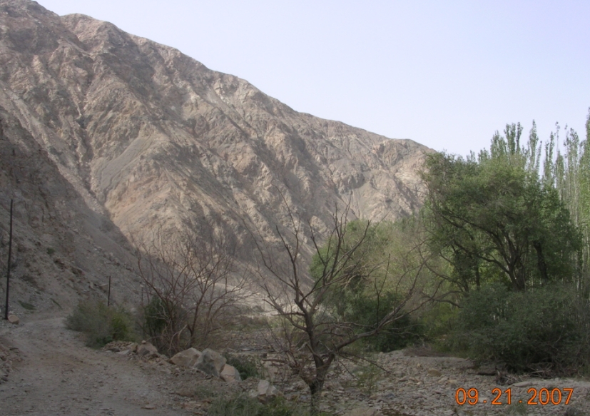 BlogTP07-10-21Bd.jpg