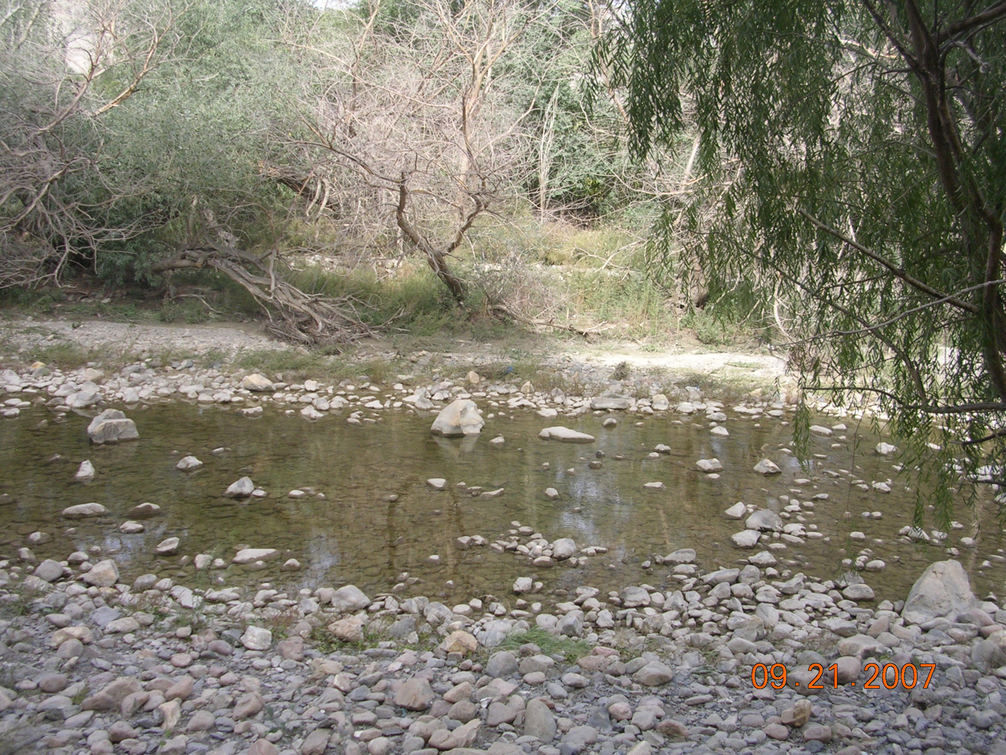 2007-Picture07-09-21D 150.jpg