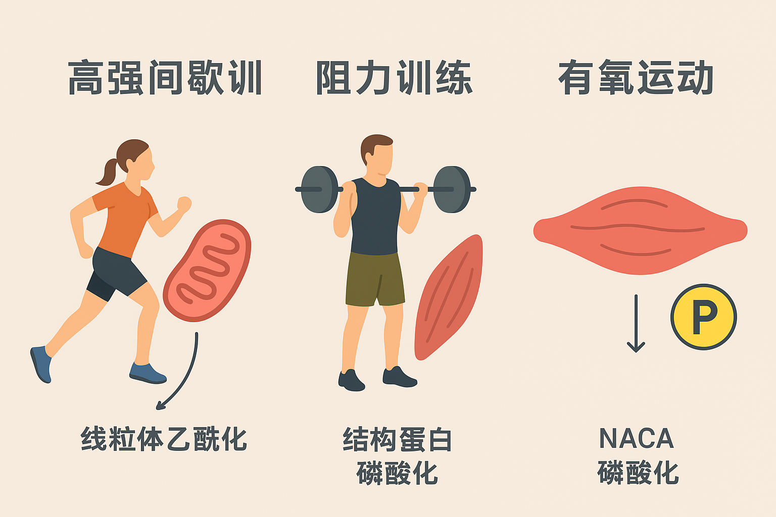 ChatGPT Image 2025102 20_47_13.png