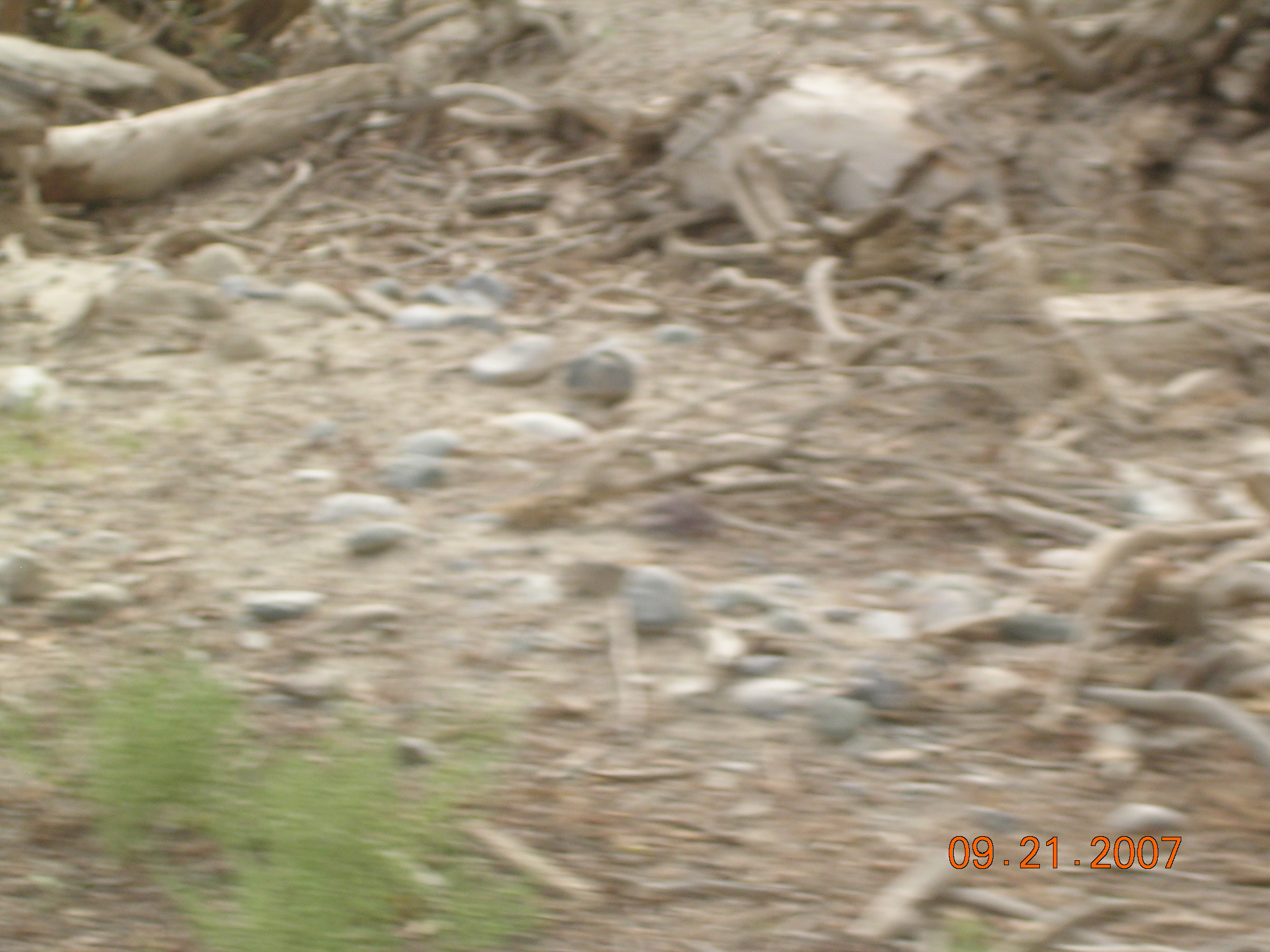 2007-Picture07-09-21B 176.jpg