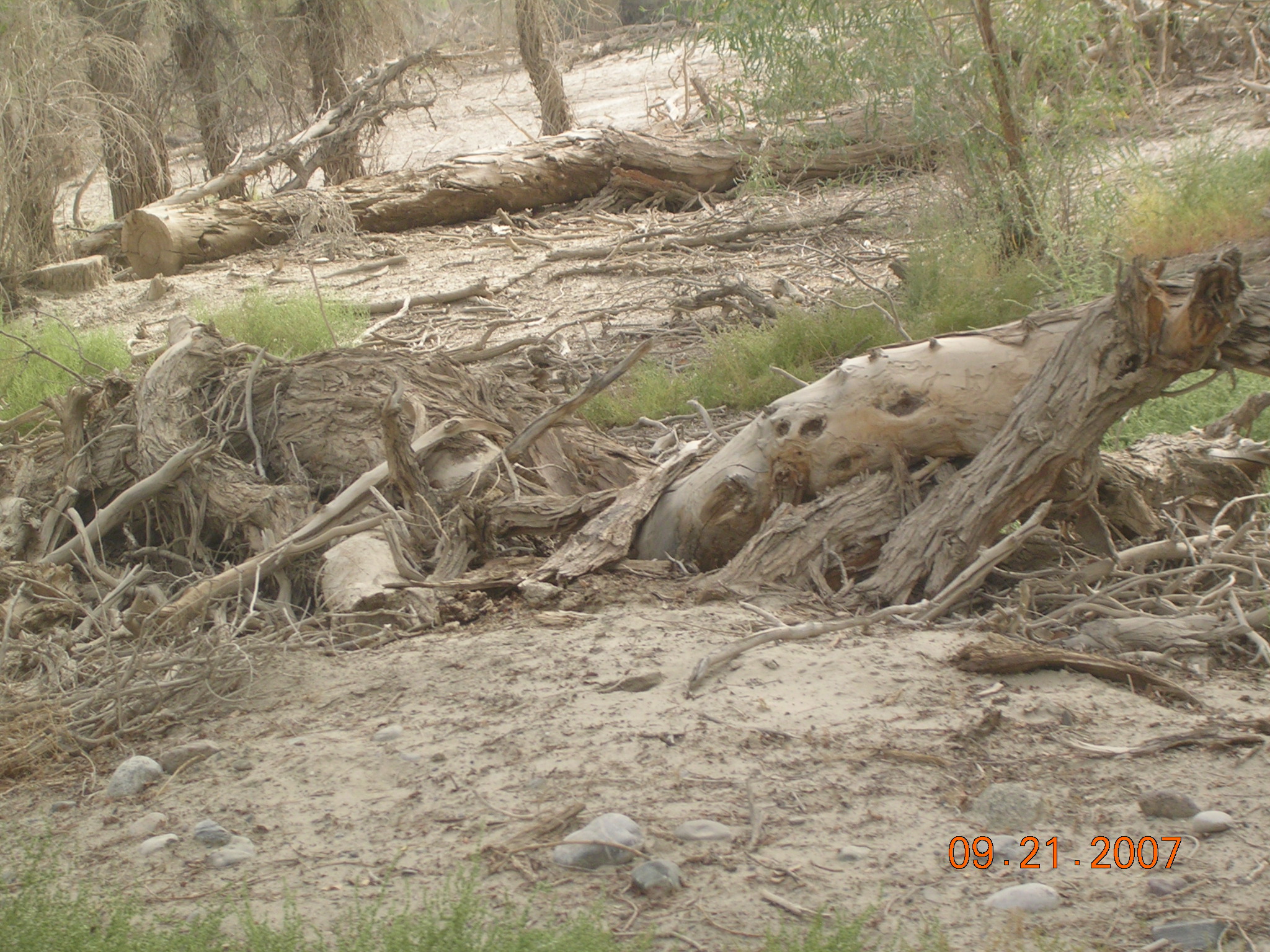 2007-Picture07-09-21B 175.jpg