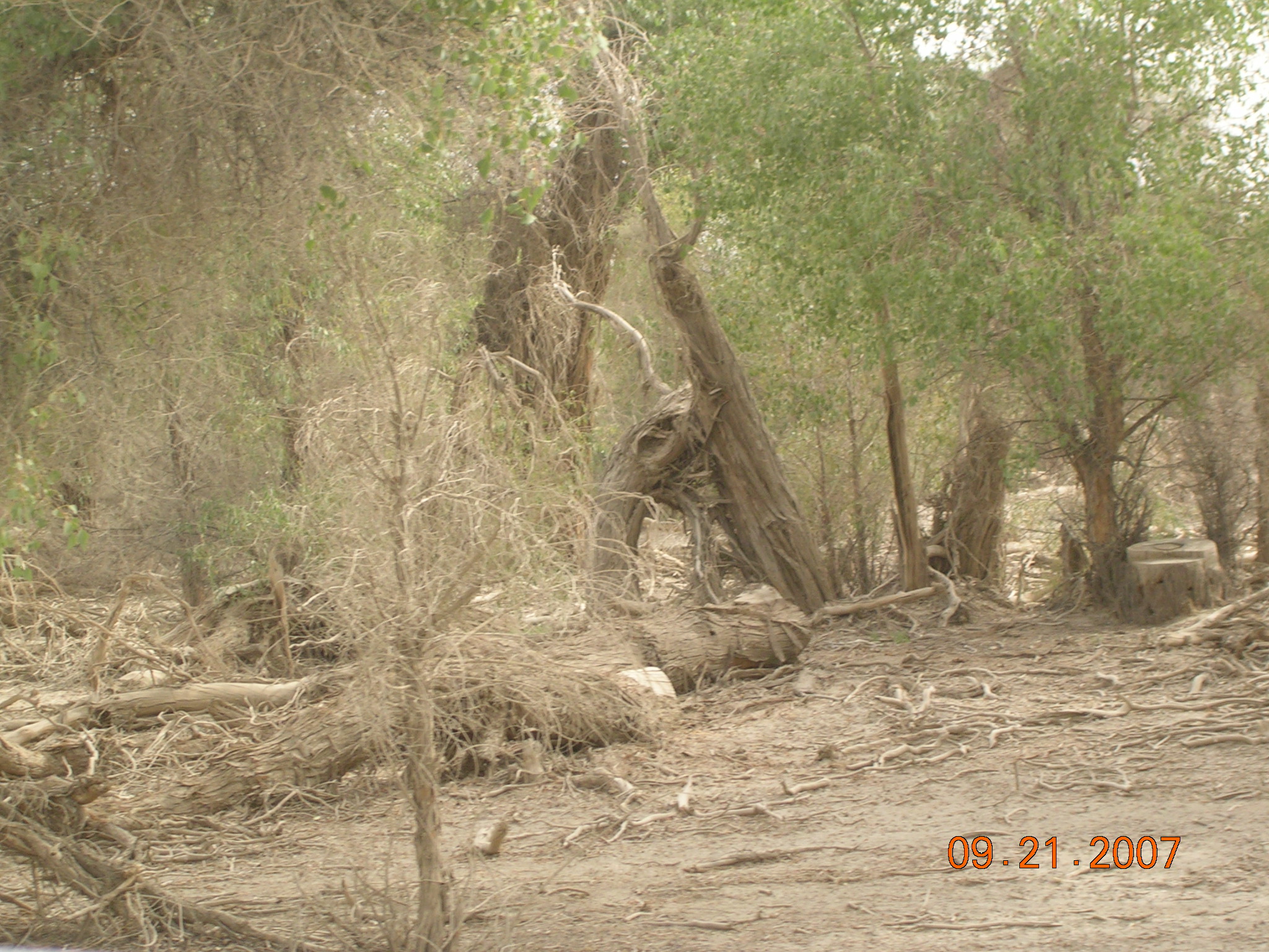 2007-Picture07-09-21B 170.jpg