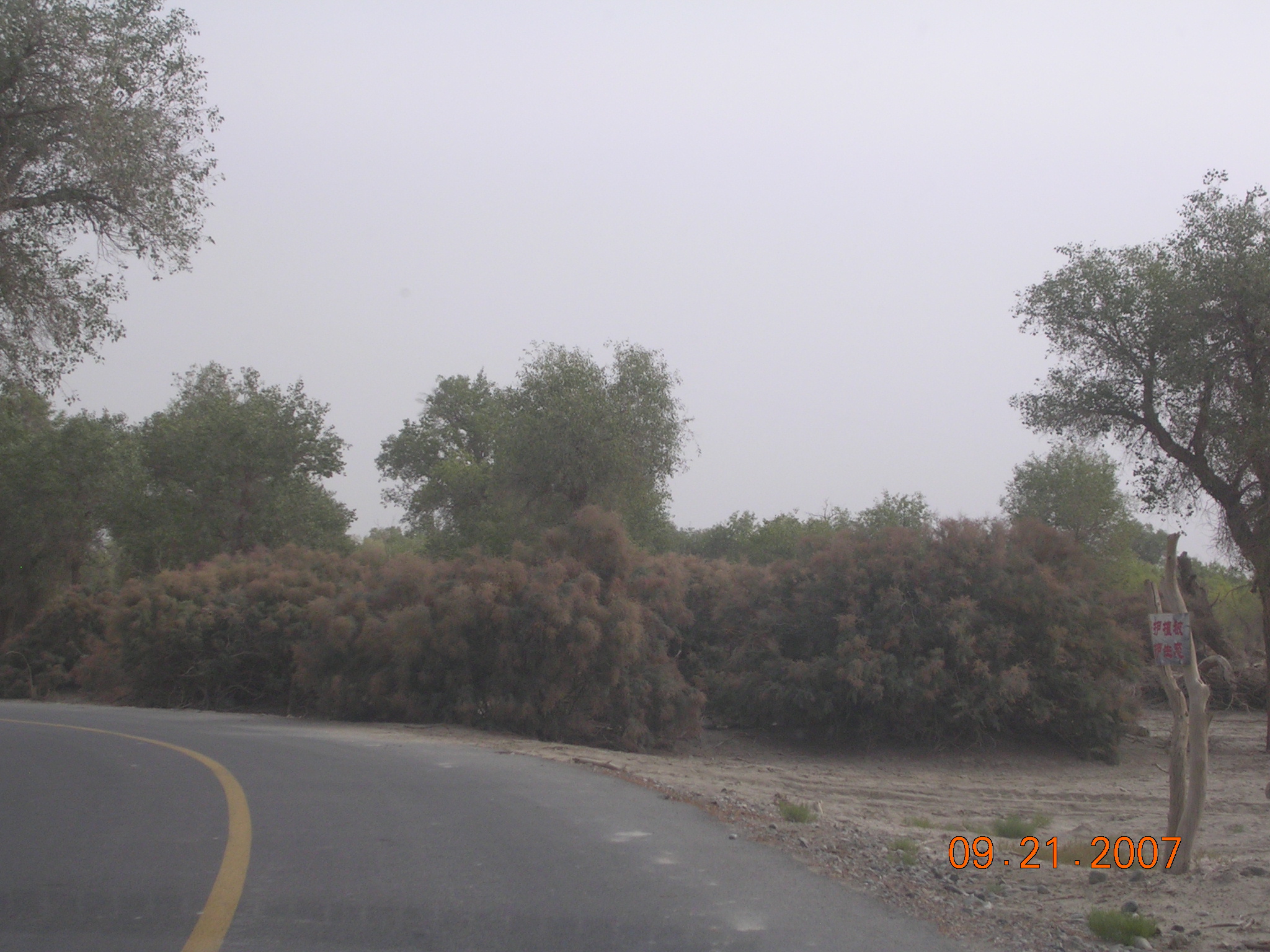 2007-Picture07-09-21B 168.jpg