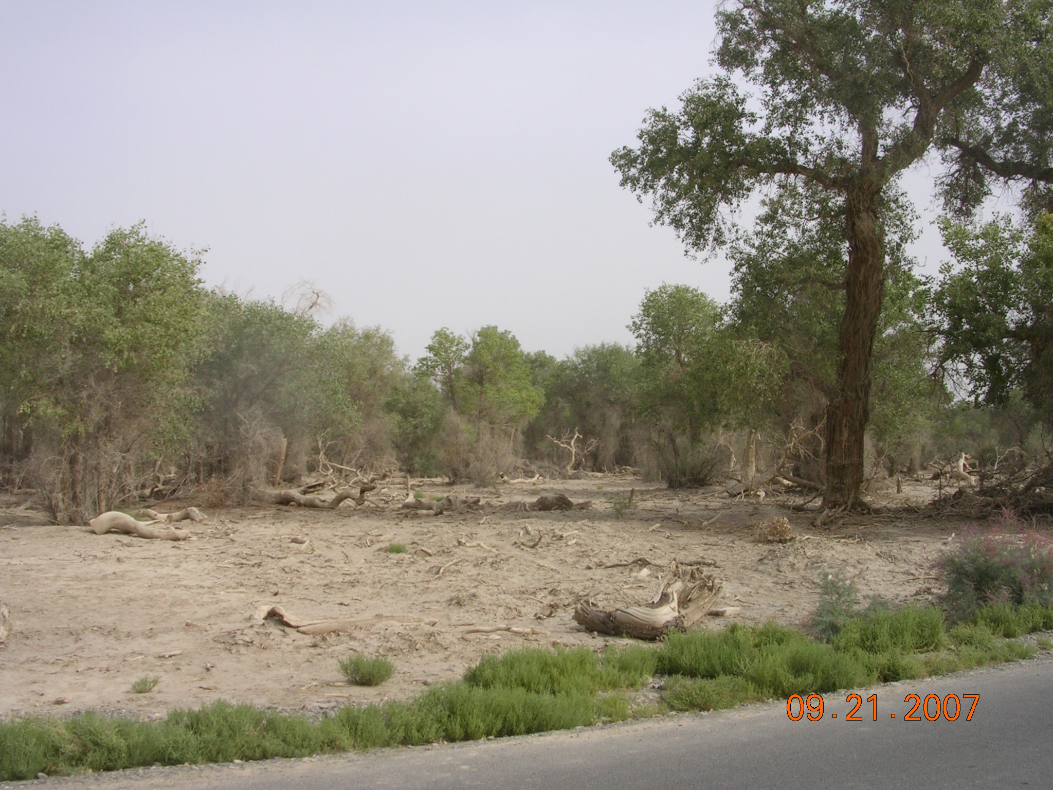 2007-Picture07-09-21B 165.jpg