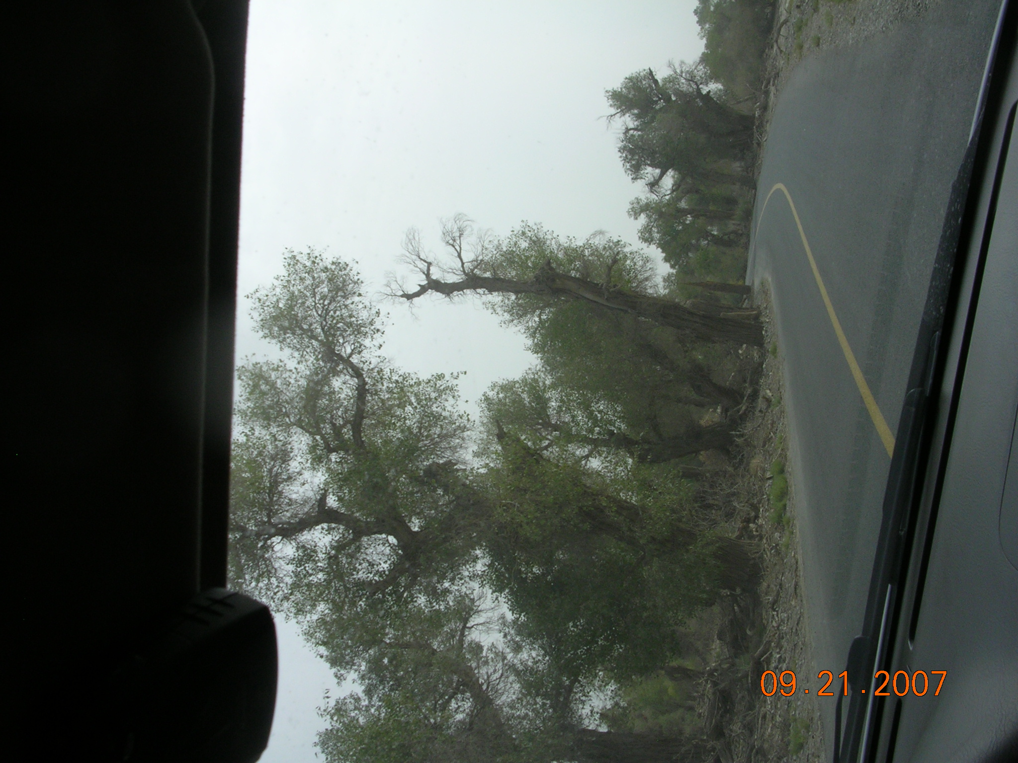 2007-Picture07-09-21B 213.jpg