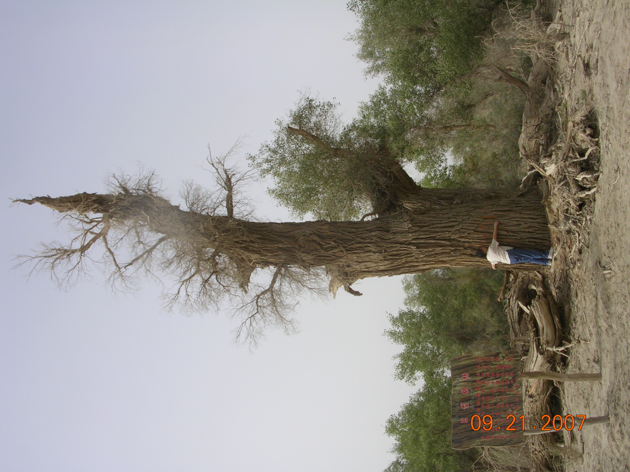 2007-Picture07-09-21B 202.jpg