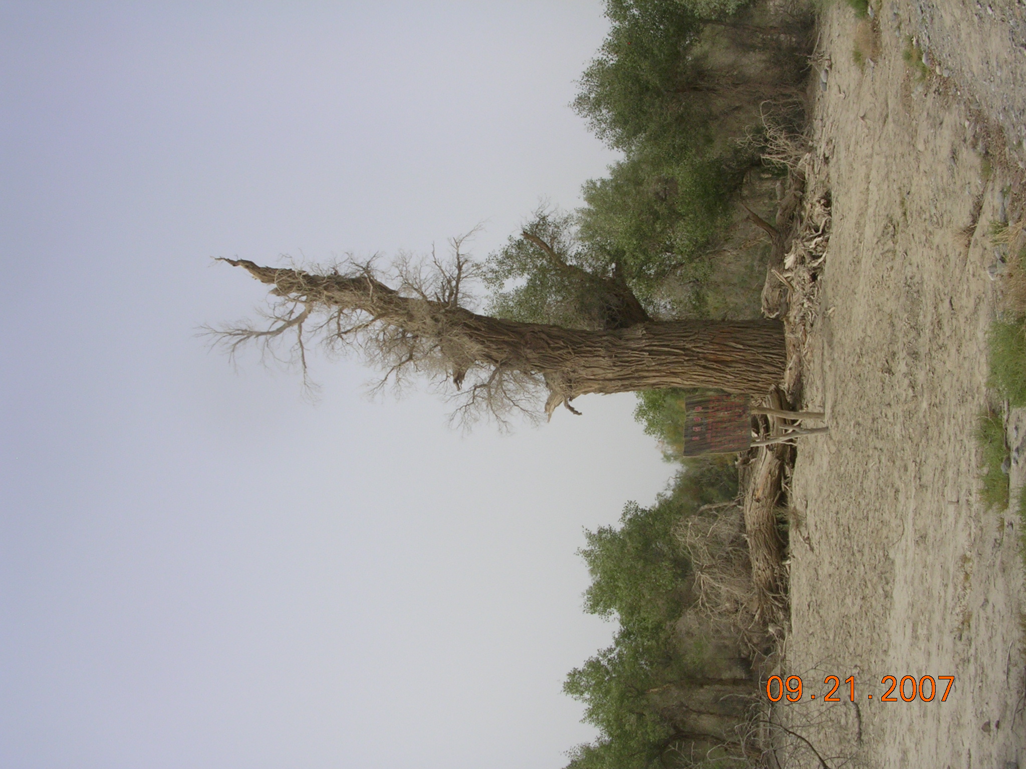 2007-Picture07-09-21B 199.jpg