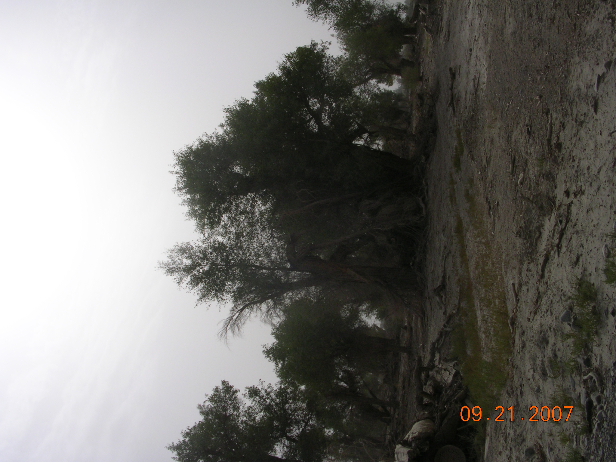 2007-Picture07-09-21B 196.jpg