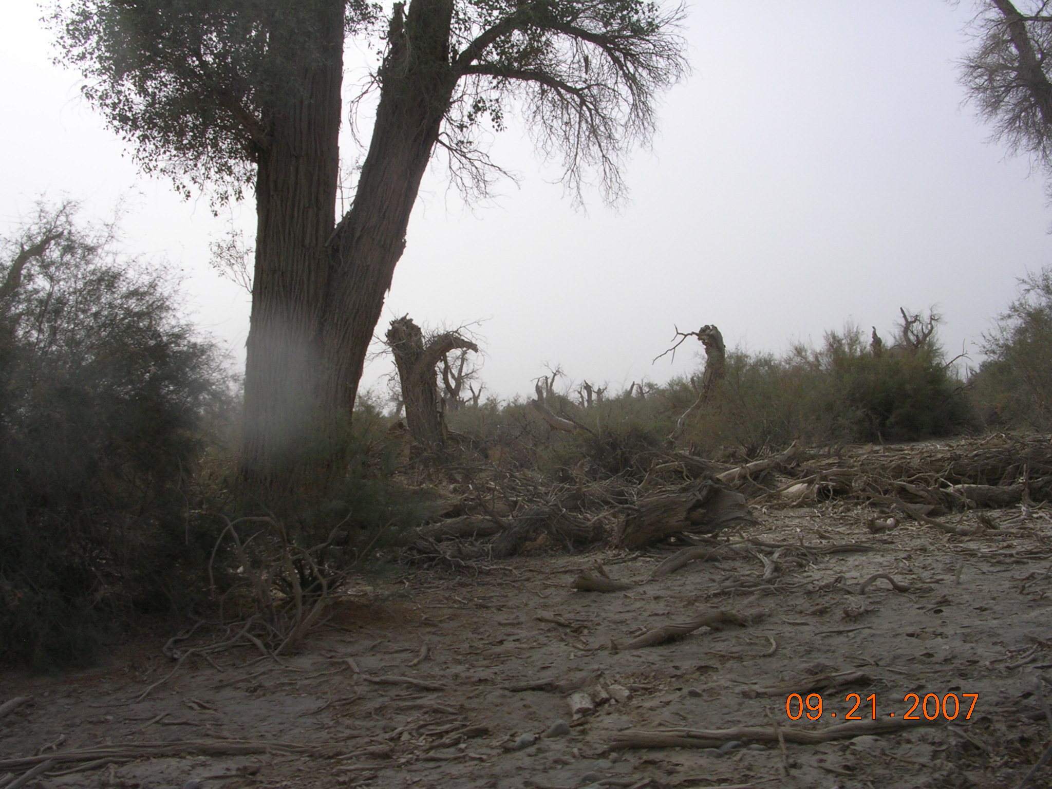 2007-Picture07-09-21B 239.jpg