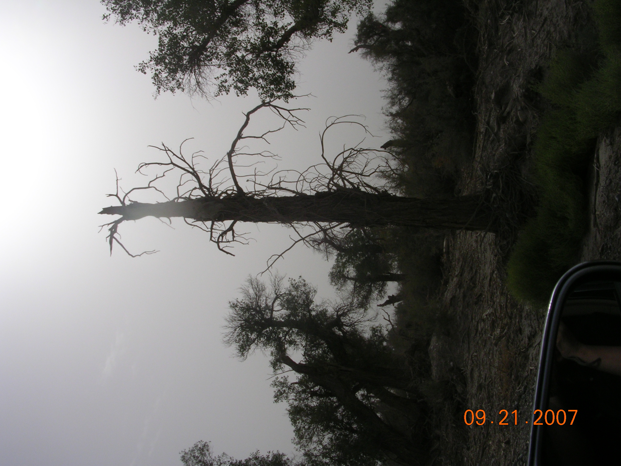 2007-Picture07-09-21B 236.jpg