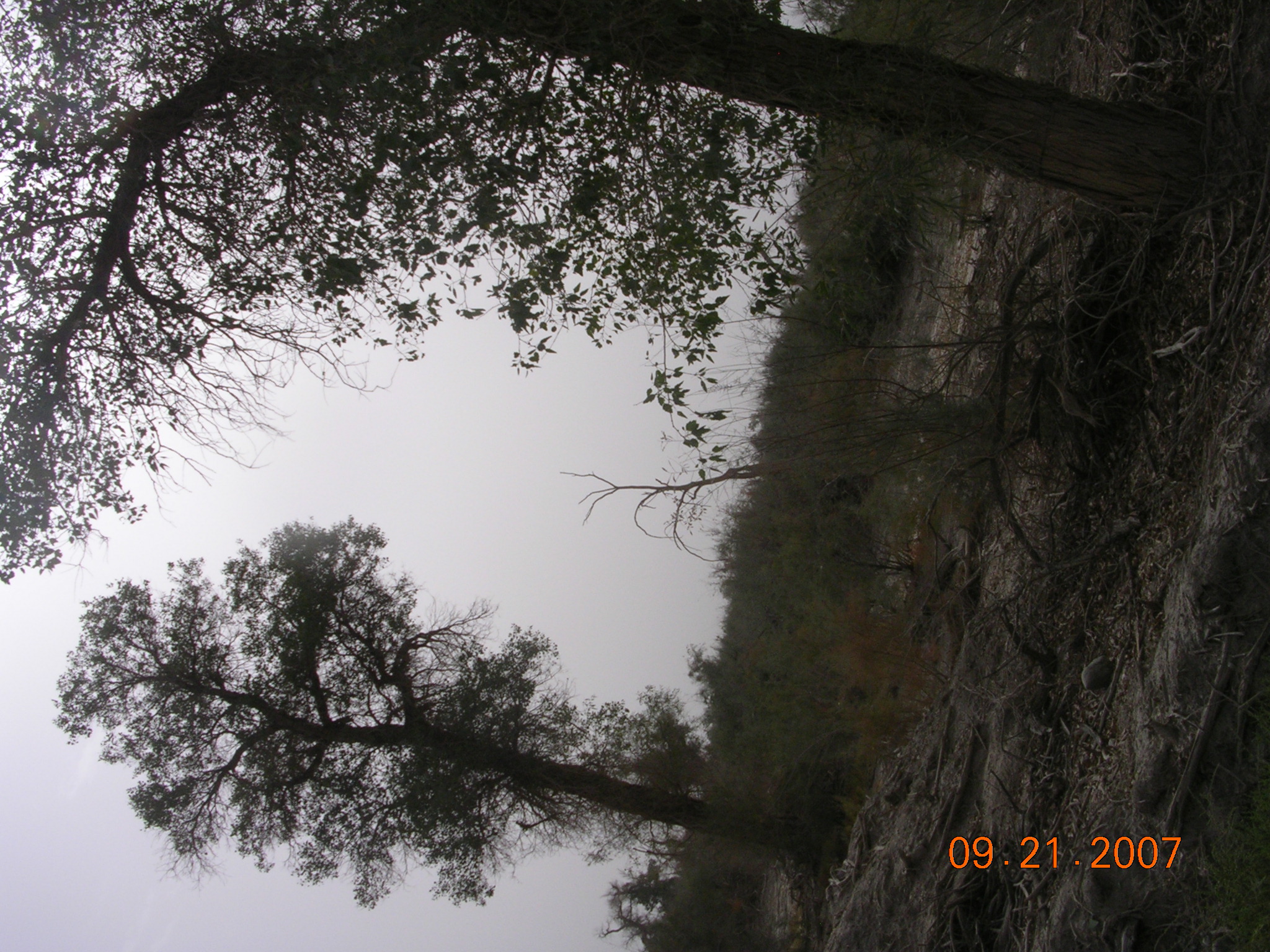 2007-Picture07-09-21B 233.jpg